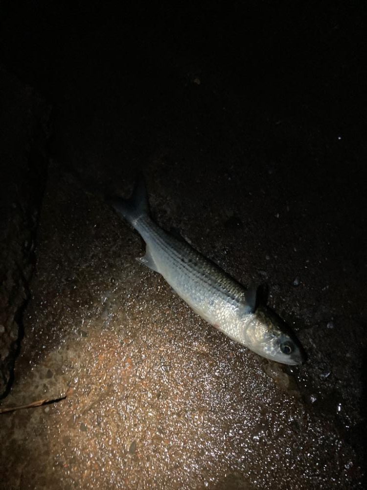 着水と同時にドカン！