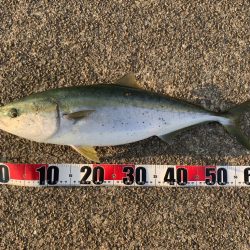 新年初フィッシュ‼︎