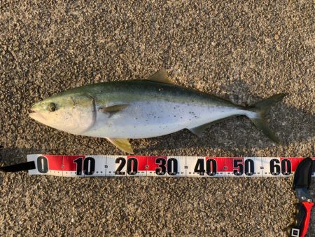 新年初フィッシュ‼︎