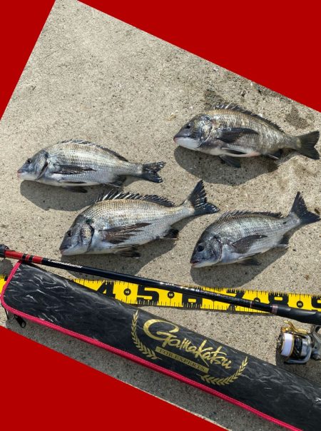 日が上がるとともに釣りスタート