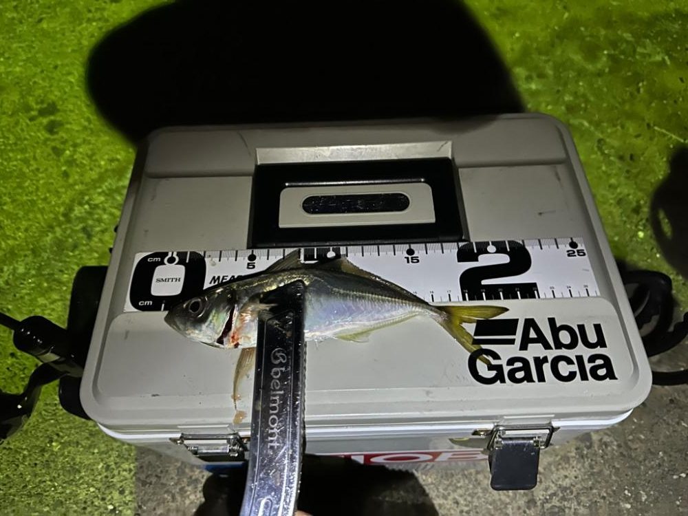 年越しフィッシング