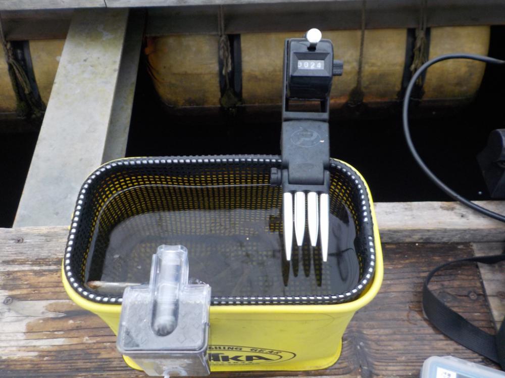 ワカサギ第6戦（佐仲ダム）