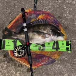 ヘチってきました