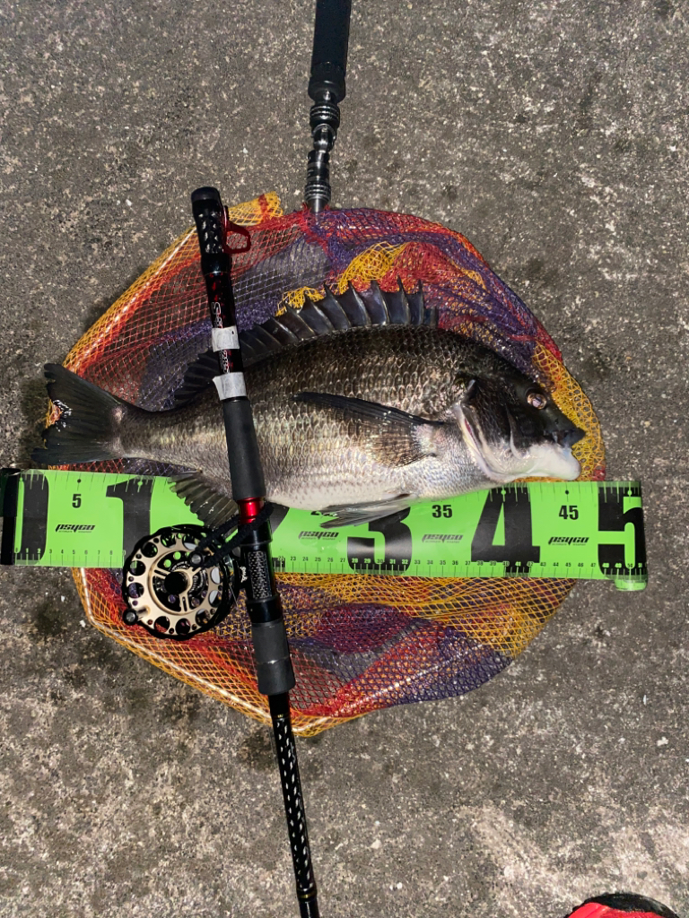 ヘチってきました