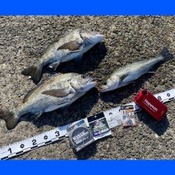 満潮前の時間帯