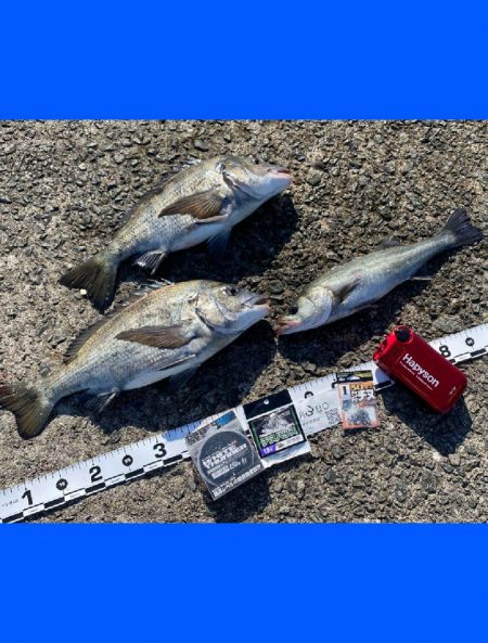 満潮前の時間帯