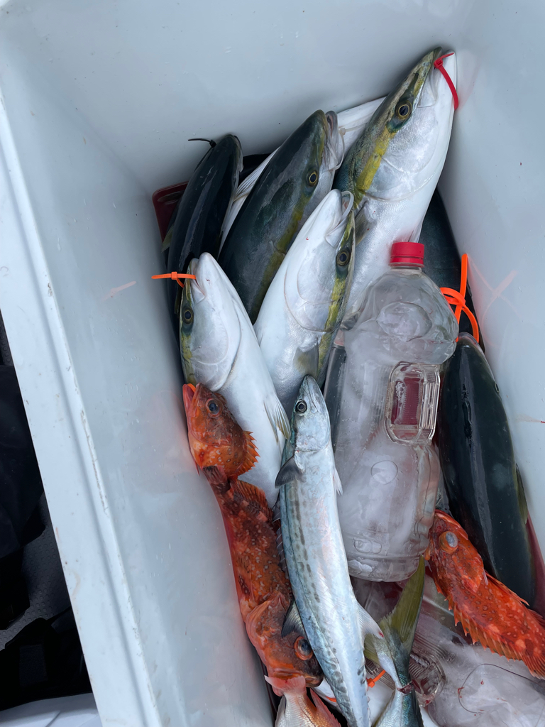 経ヶ岬沖ジギング