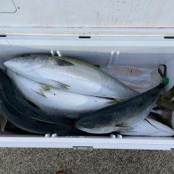 新年最初のジギング