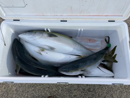 新年最初のジギング