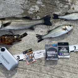 急に水温が下がり