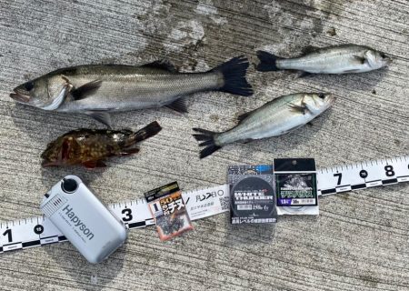 急に水温が下がり