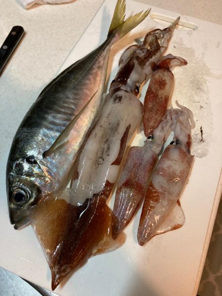 今年初イカメタル