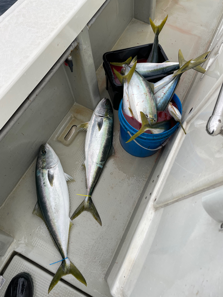 丹後沖ジギング