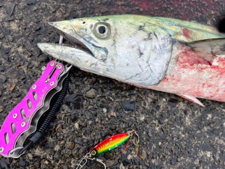 回収早巻きにビッグフィーーシュ！