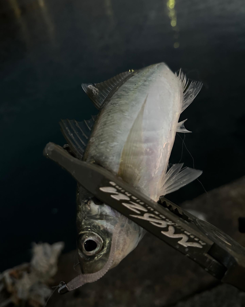 正月休み最後に