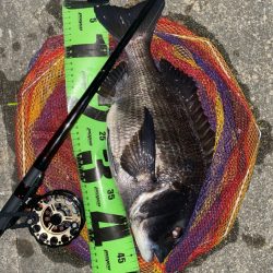 ヘチってきました