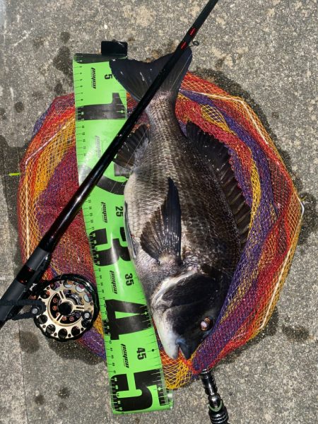 ヘチってきました