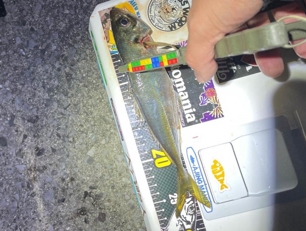 バースデーフィッシング