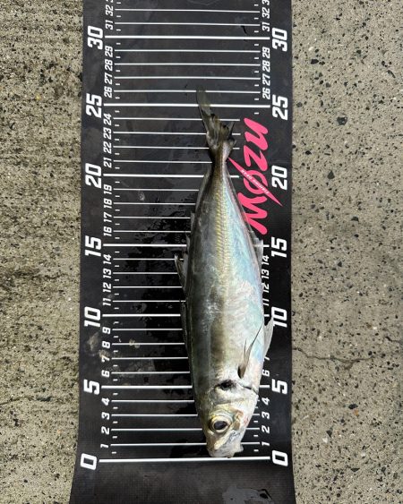 休日の釣り三昧