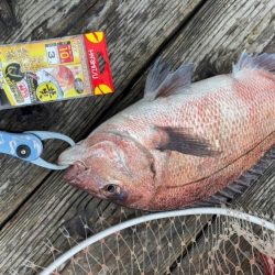 釣堀初めは渋めでした(^◇^;)