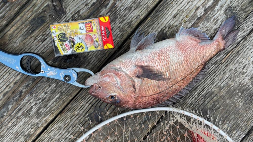 釣堀初めは渋めでした(^◇^;)