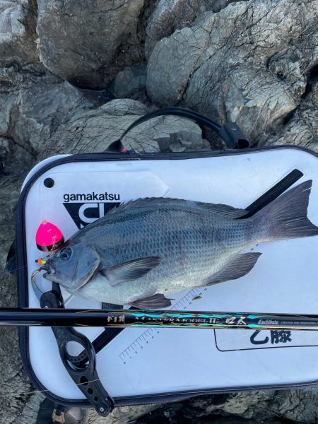 横島3番クロ釣り❗þ…
