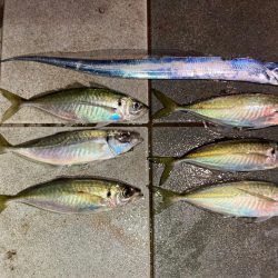 ようやく年明け