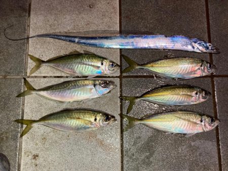 ようやく年明け