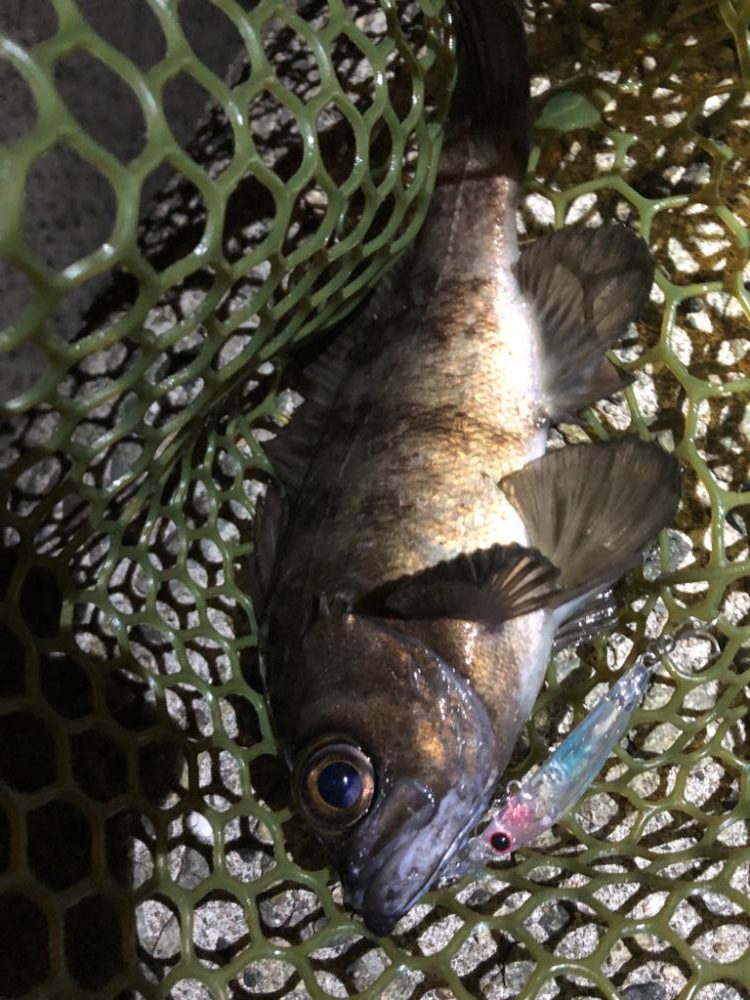 4打数3安打（4バイト3ゲット）