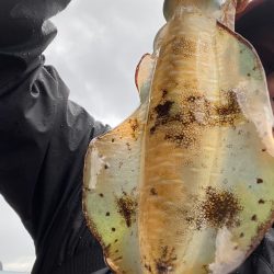 あたりかあられか？