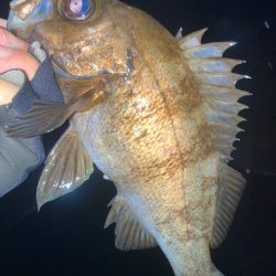 2023ライトゲーム第2戦