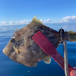 初釣りはカワハギ！
