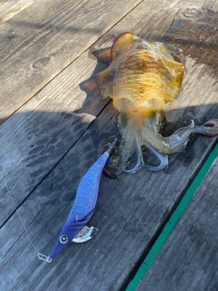 筏エギング2日目！