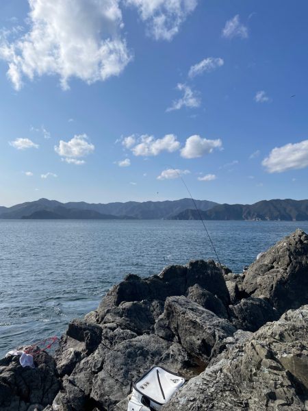 頼れるハリスで寒グレ釣り❗&…