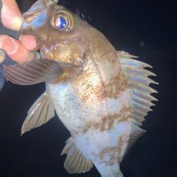 2023ライトゲーム第3戦