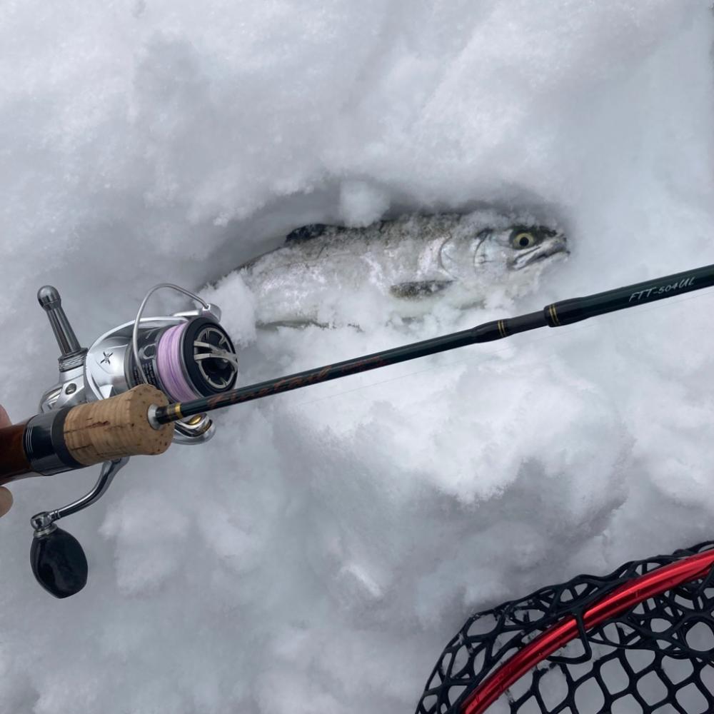 庄原で極寒トラウト
