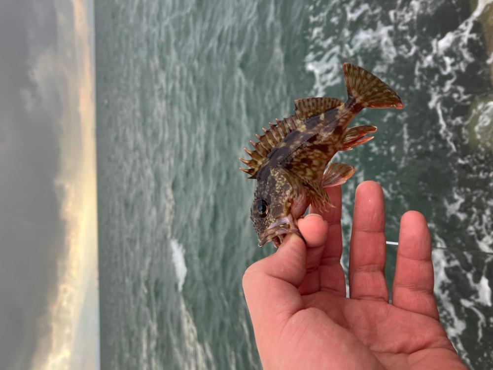 極寒穴釣り