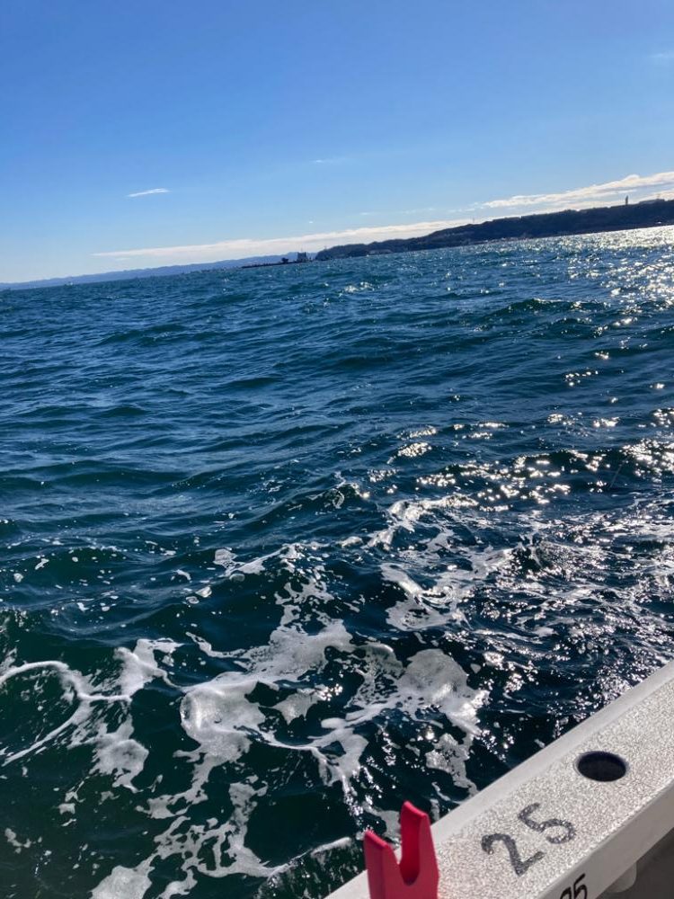 子供とイシモチ