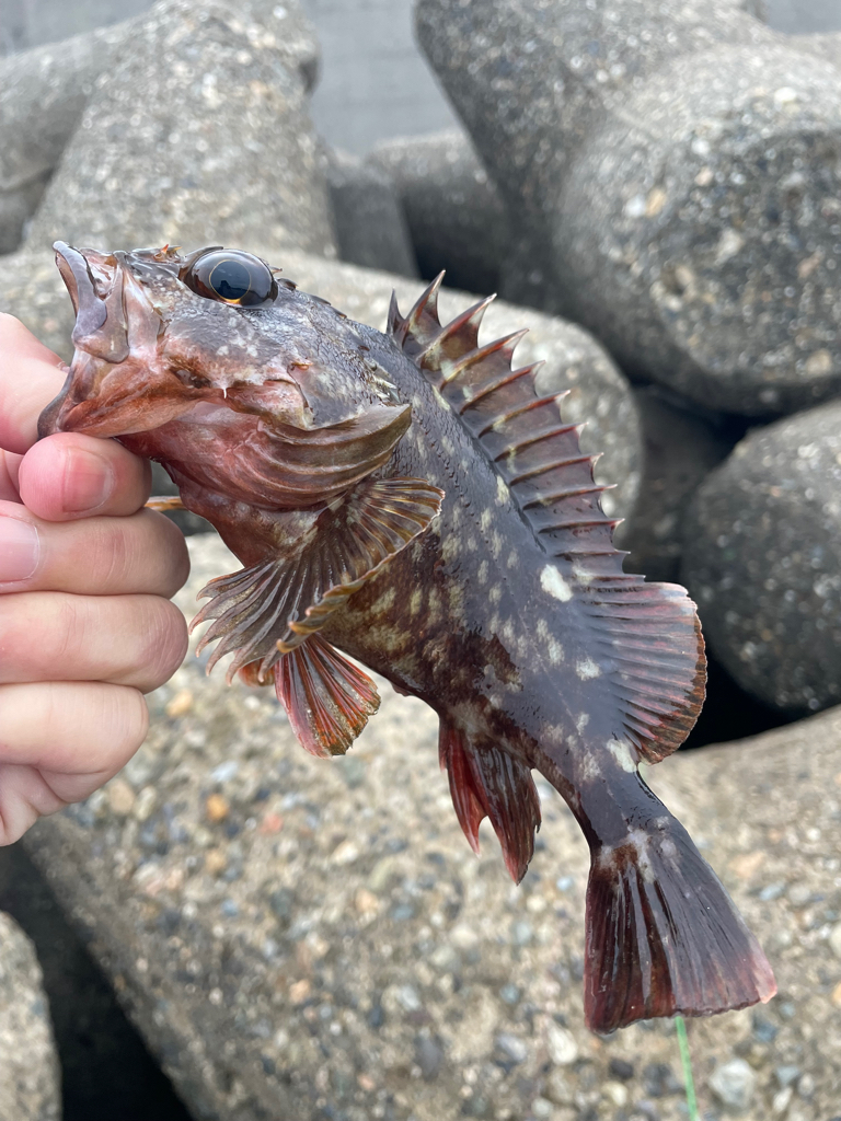 帰ってきた穴釣りNo.2