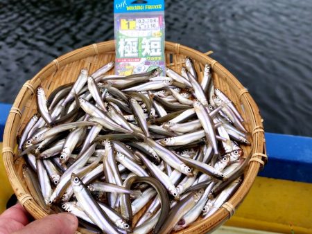 愛知県入鹿池ボート ワカサギ釣り！
