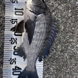 イチノ兄弟（兄）釣果！