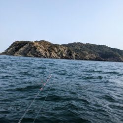 今回はレンタルボートで