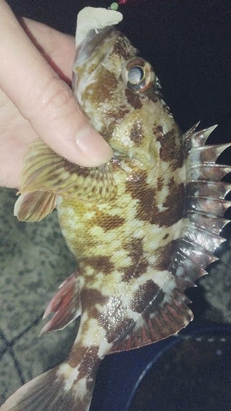 唐揚げが食べたくて