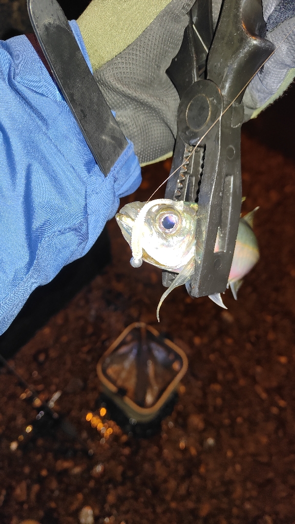 なんとか出来そう