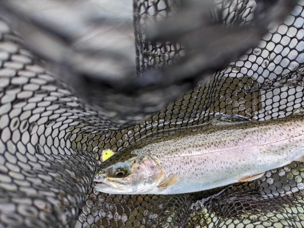 足柄キャスティングエリアで釣り納め