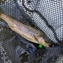 2022年 釣り納め