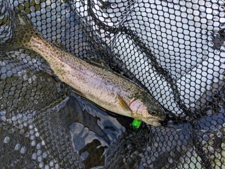 2022年 釣り納め