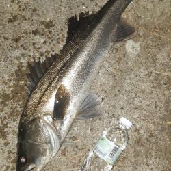 深夜から朝にかけて