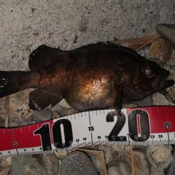 フロートアジング