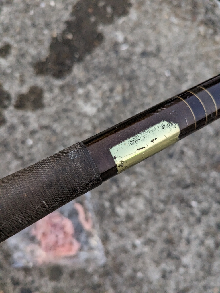 まだまだ釣れる